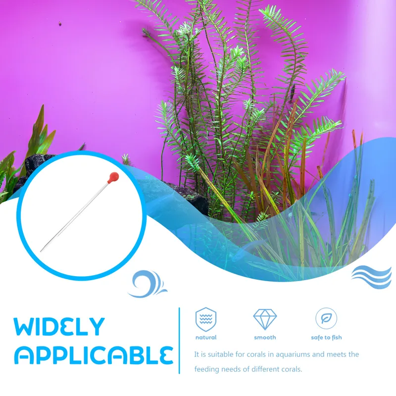 Marine Aquarium Youtube - Aquarium Coral Feeder Acrylic Marine Fish