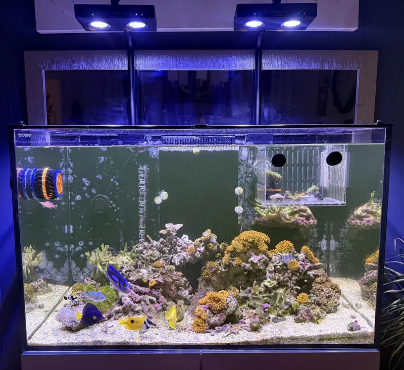 Marine Aquarium Led Lights - High Power DIY Spectrum 90W G5