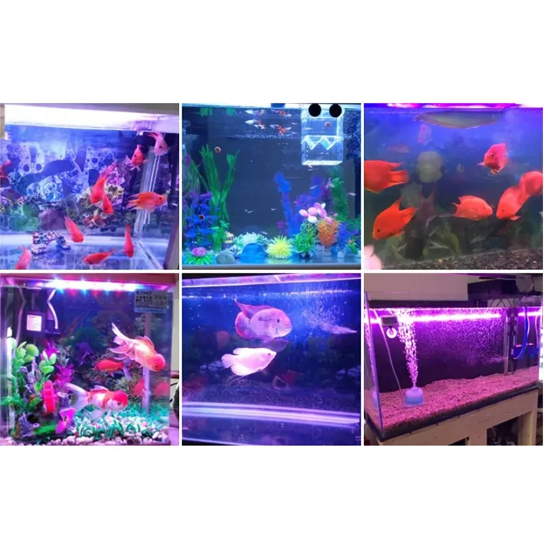 Aquarium Marine Color - 50W 60W 70W 100W RGB 26-28V