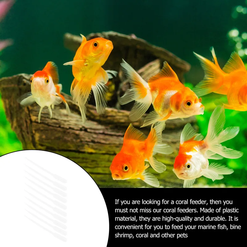 10Pcs Absorbent Syringe Coral  - đánh giá và giá Marine Aquarium Youtube