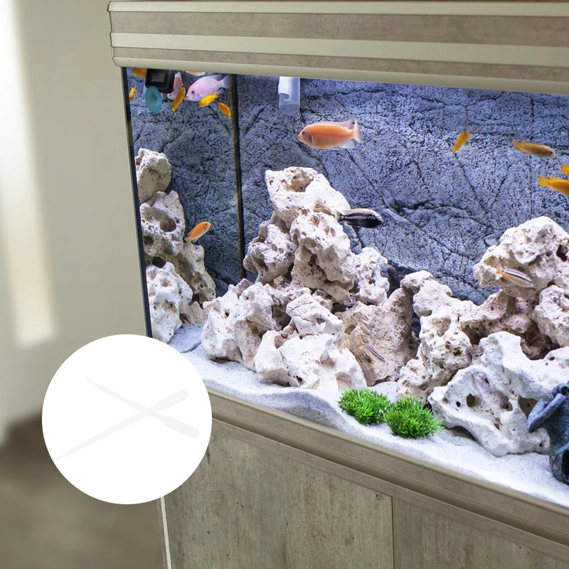 10Pcs Absorbent Syringe Coral  - đánh giá và giá Marine Aquarium Youtube