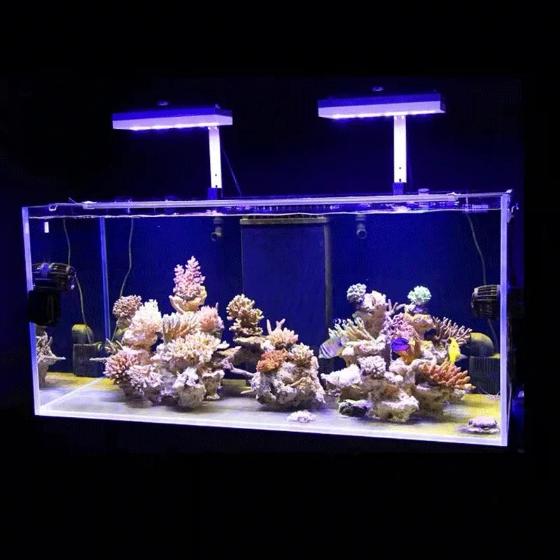 Aqua Illumination AI Hydra 32H - đánh giá và giá Marine Aquarium Led Lights