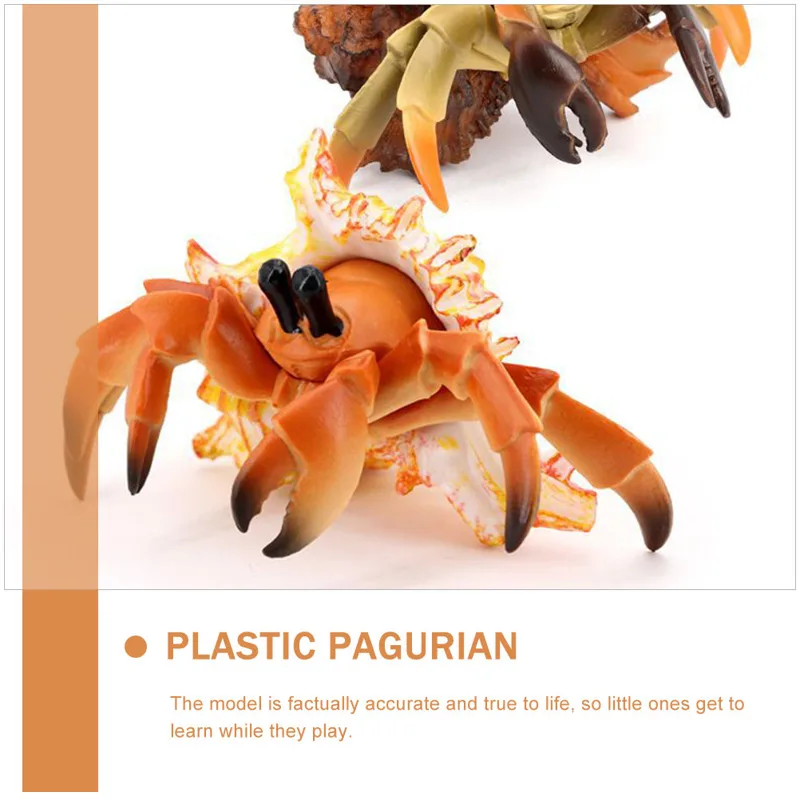 Simulation Hermit Crab Artific - đánh giá và giá Marine Aquarium Europe