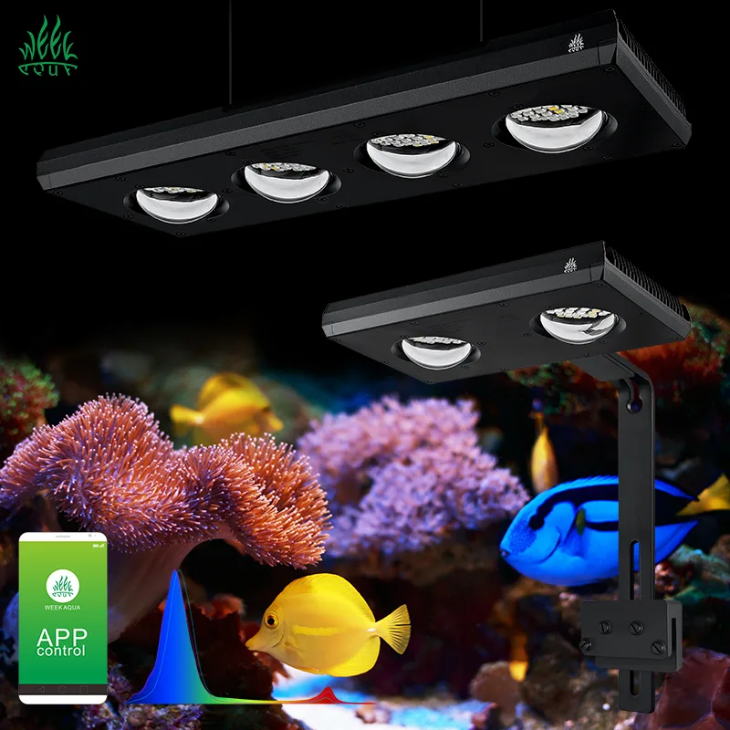 ZXY Hot Sale WEEKAQUA Z250 Z40 - đánh giá và giá Marine Aquarium Led Lights