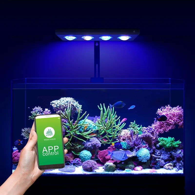 ZXY Hot Sale WEEKAQUA Z250 Z40 - đánh giá và giá Marine Aquarium Led Lights
