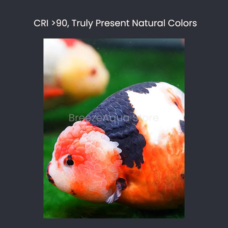 MAYIN Super Colour 100W Freshw - đánh giá và giá Marine Aquarium Led Lights