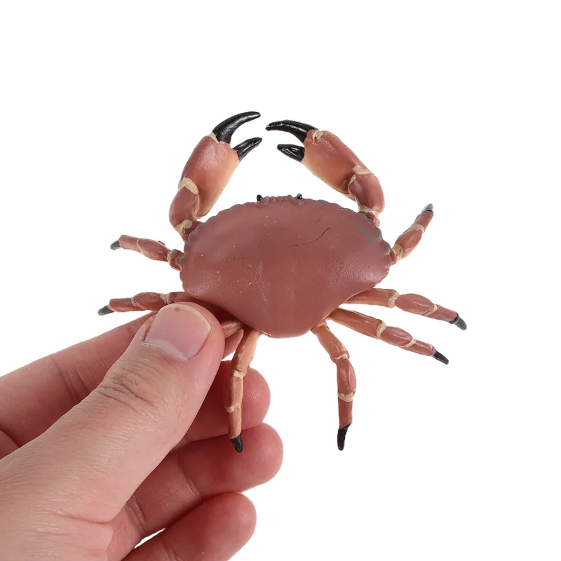 3Pcs Realistic Plastic Crab Fi - đánh giá và giá Marine Aquarium Europe