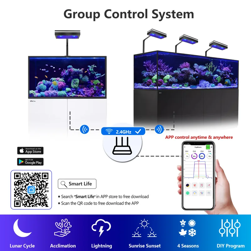 New PopBloom WiFi Marine Aquar - đánh giá và giá Marine Aquarium Led Lights
