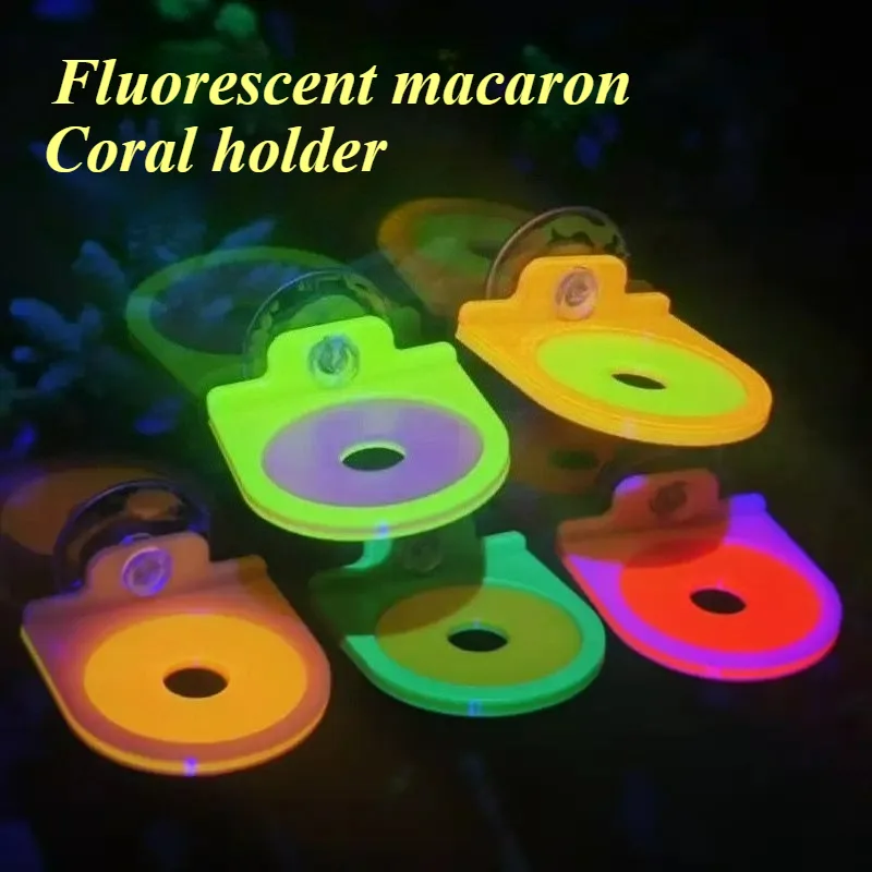 Color Random Coral Frag Holder - đánh giá và giá Aquarium Marine Color