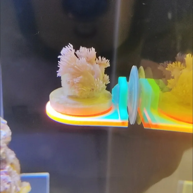 Color Random Coral Frag Holder - đánh giá và giá Aquarium Marine Color