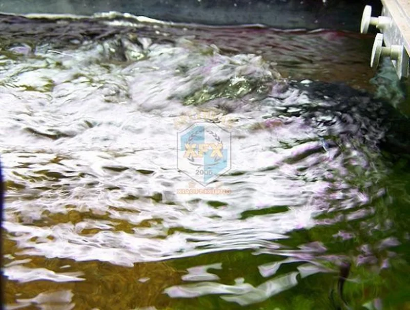 sunsun Jvp-200 newest waver ma - đánh giá và giá Aquarium Marine Color