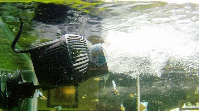 sunsun Jvp-200 newest waver ma - đánh giá và giá Aquarium Marine Color