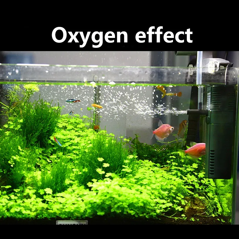 SUNSUN Nano Mini Xây Dựng Nội  - đánh giá và giá Marine Aquarium Chiller